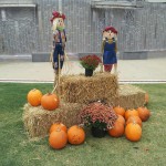 So stelle ich mir den Flair in North Carolina auf dem Land vor