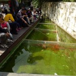 Etwas unfair, den Fischen gegenüber ...